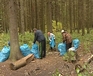 В белорусских лесах пройдет акция «Чистый лес»