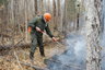 Пожаров в белорусских лесах стало меньше
