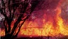 Пожаров в белорусских лесах стало меньше