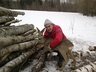Приглашаю на охоту 35 км от Минска - косуля , заяц , лиса .