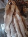 Продам шкуры лисы рыжей 8-029-500-92-92