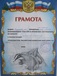 Таксы жесткошерстной щенки