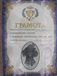 Таксы жесткошерстной щенки