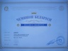 Таксы жесткошерстной щенки