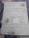 Продам щенков англо-русской гончей