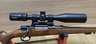 zastava m70 243win