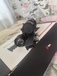 Прицел День Ночь