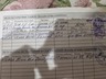 Предлагаю на вязку Англо русскую