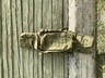 Рюкзаки