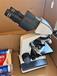 Pulsar Accolade 2 XP50 LRF PRO