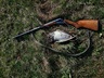 иж 43