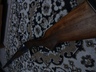 иж 43